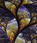 Distorting mirrors. by Kondratij