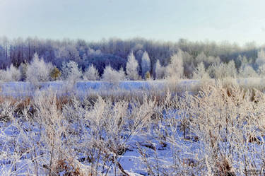 Russian frost.