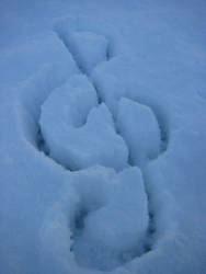 treble clef in snow