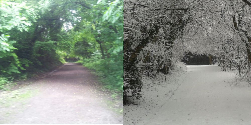 Summer and Winter