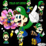 Year of Luigi