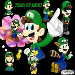 Year of Luigi by chiby-furry