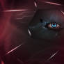 The Watcher