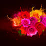 Spilled Roses