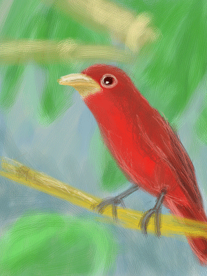 Red Bird