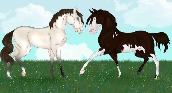 first breed pic for ma ranch
