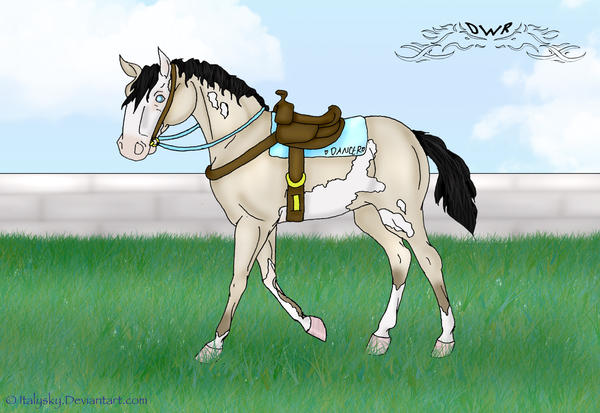 Time for a saddle