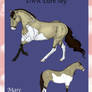 DWR Dark Sky