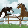 disagreement