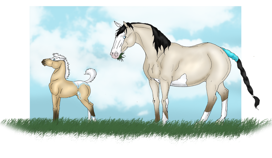 New foal