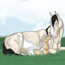 Her first foal