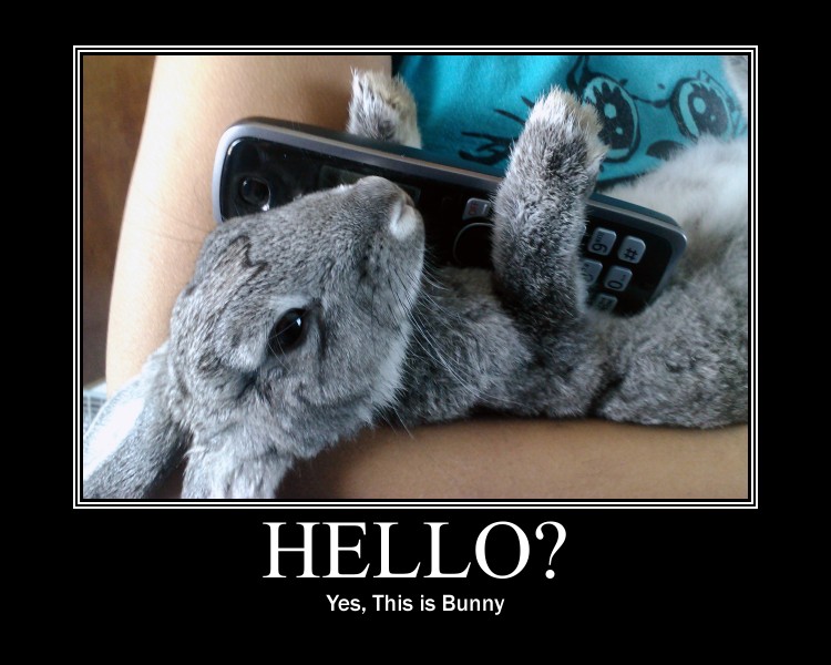 Hello? Yes, this is bunny