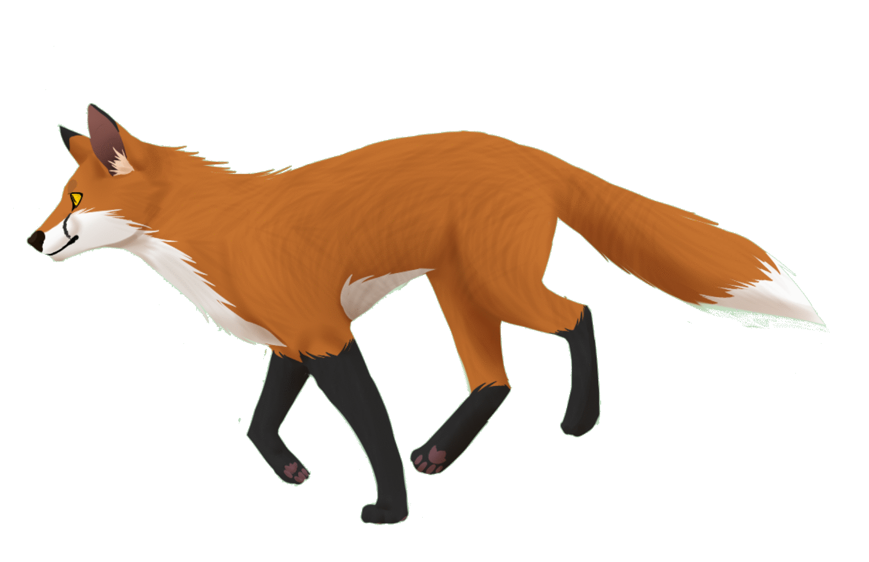 Red fox