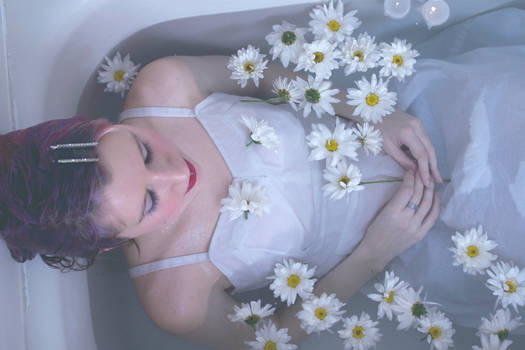 Bath Tub Series (Daisies)