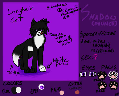 Shadowpounce OC Ref. Sheet