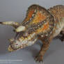 Custom Tamiya Triceratops 1/35
