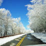 Road To The Crystal Trees