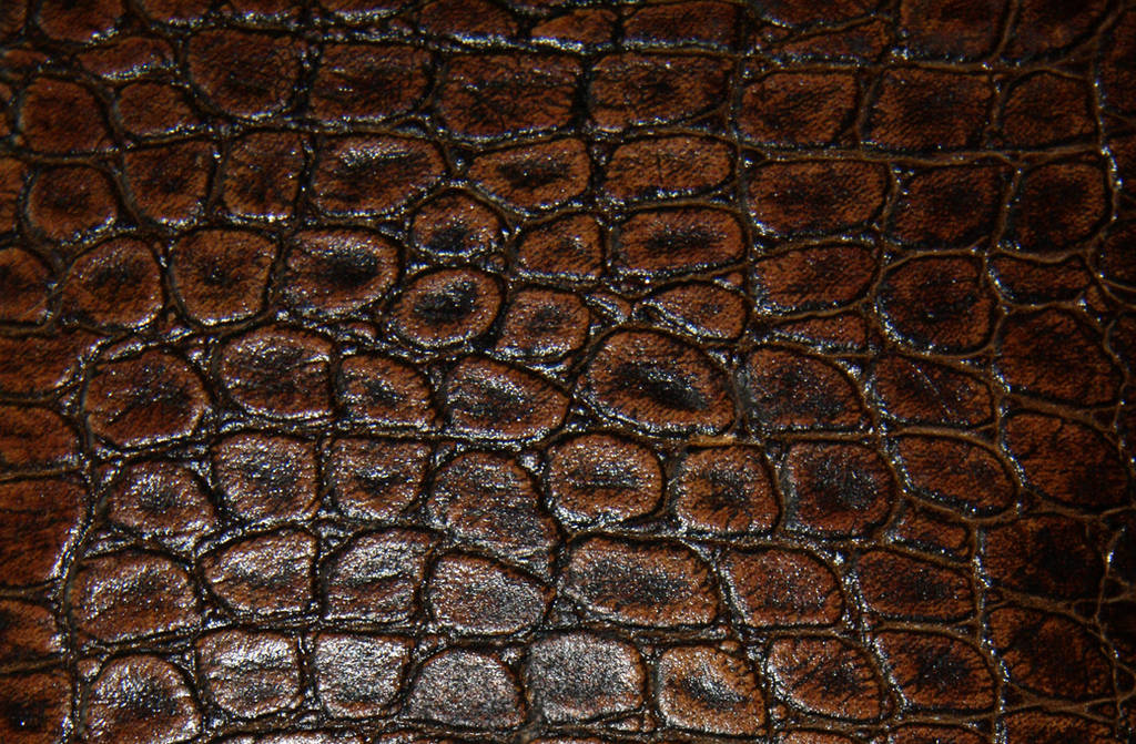 Leather 1 by BFstock