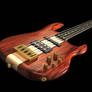 Carvin Bass