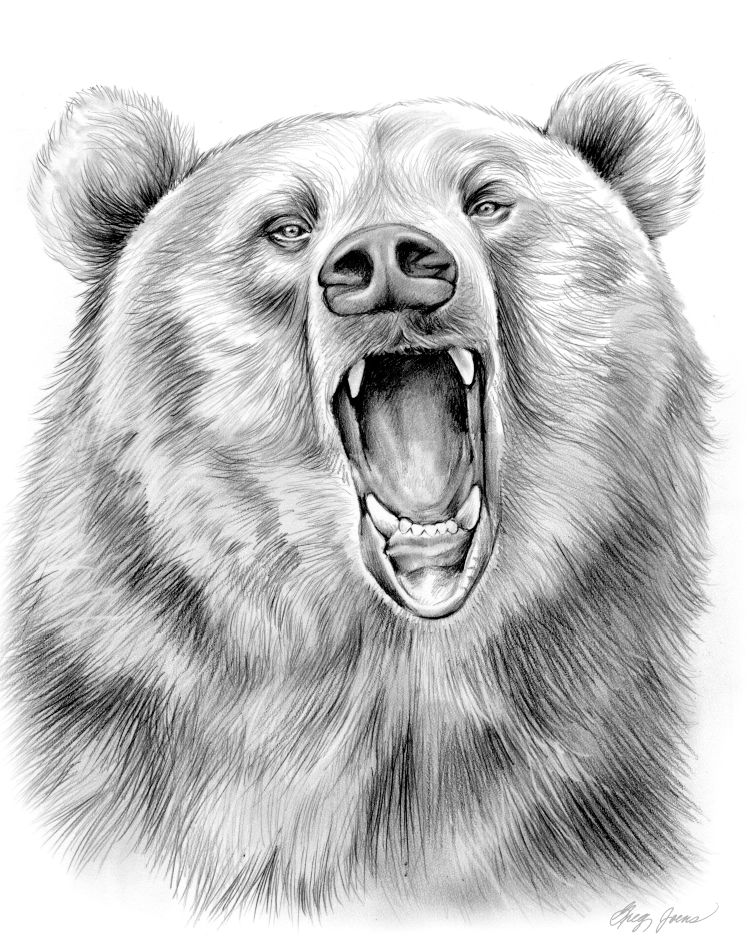 Рисунки в формате jpg. Нарисовать медведя. Медведь рисунок карандашом. Рисунок медведя для срисовки. Рискунк имедведя карандашом.