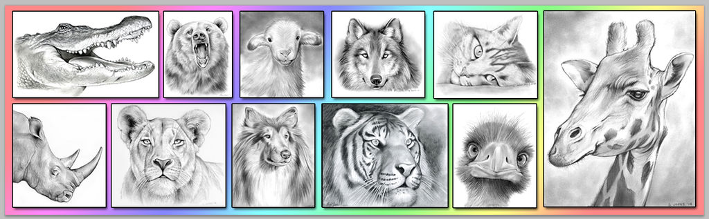 Graphite Animal Art by Greg Joens by gregchapin on DeviantArt