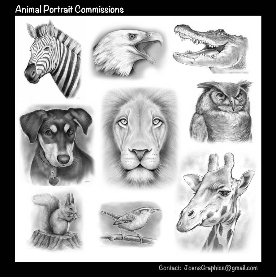 Graphite Pencil Animal Portrait Commission Work by gregchapin on DeviantArt