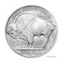 Buffalo Nickel or Indian Nickel