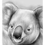 Koala Bear 17SEP19