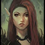 Elf Warrior