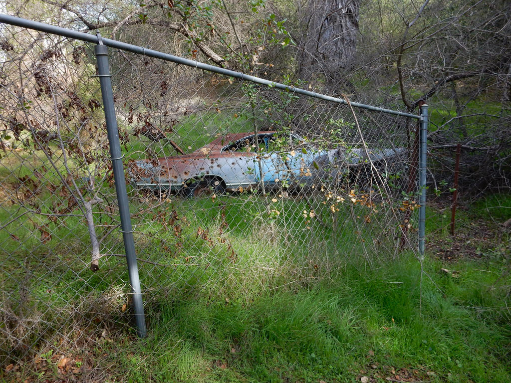 2014-1224-03 Good fences make good neighbors