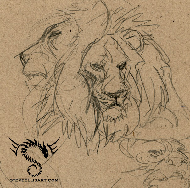 Lion Sketches