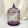 Object - Purple Birdcage