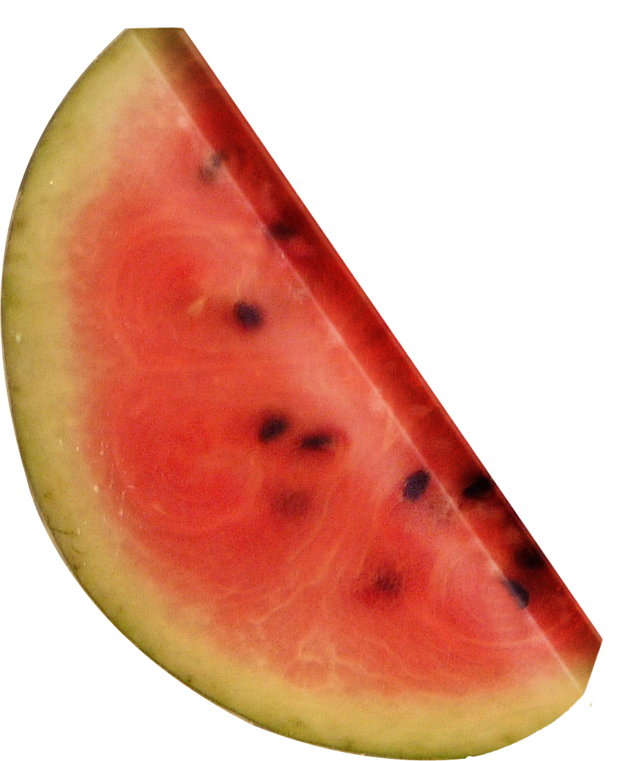 watermelon slice