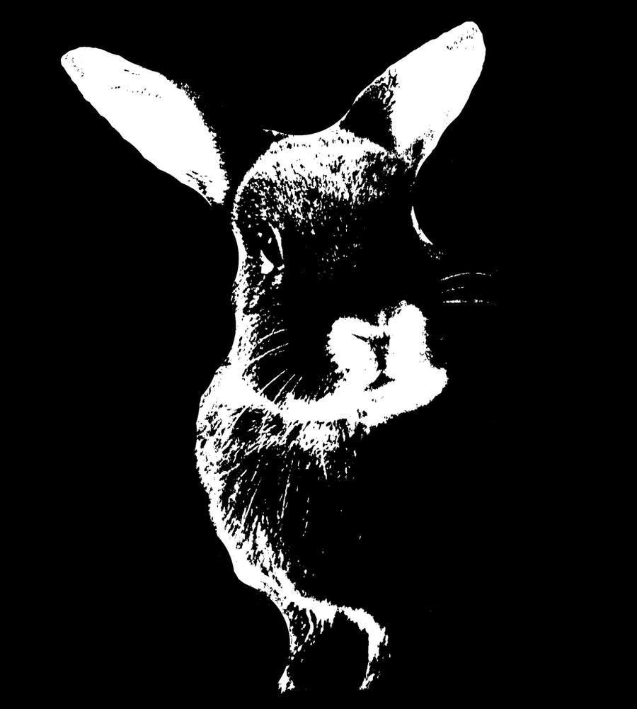 Graphic Bunny