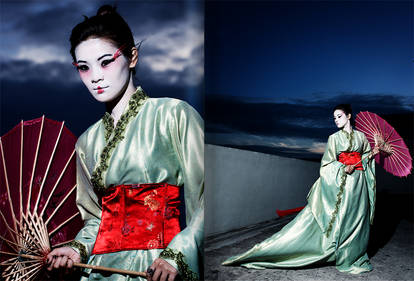 A Geisha's Journey