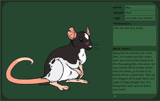 Lyght's pet rat 2