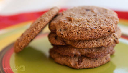 Chocolate chip cookies