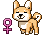 female shiba inu