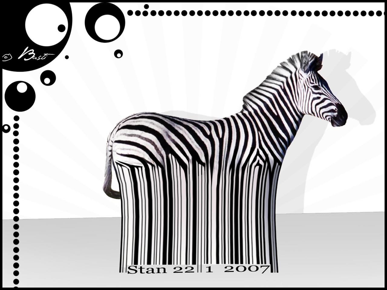 Zebra 2 Wallpaper