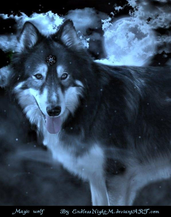 Magic Wolf by endlessnight-m on DeviantArt
