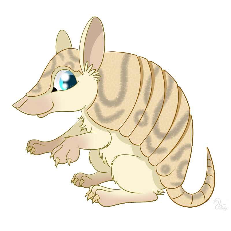 Armadillo