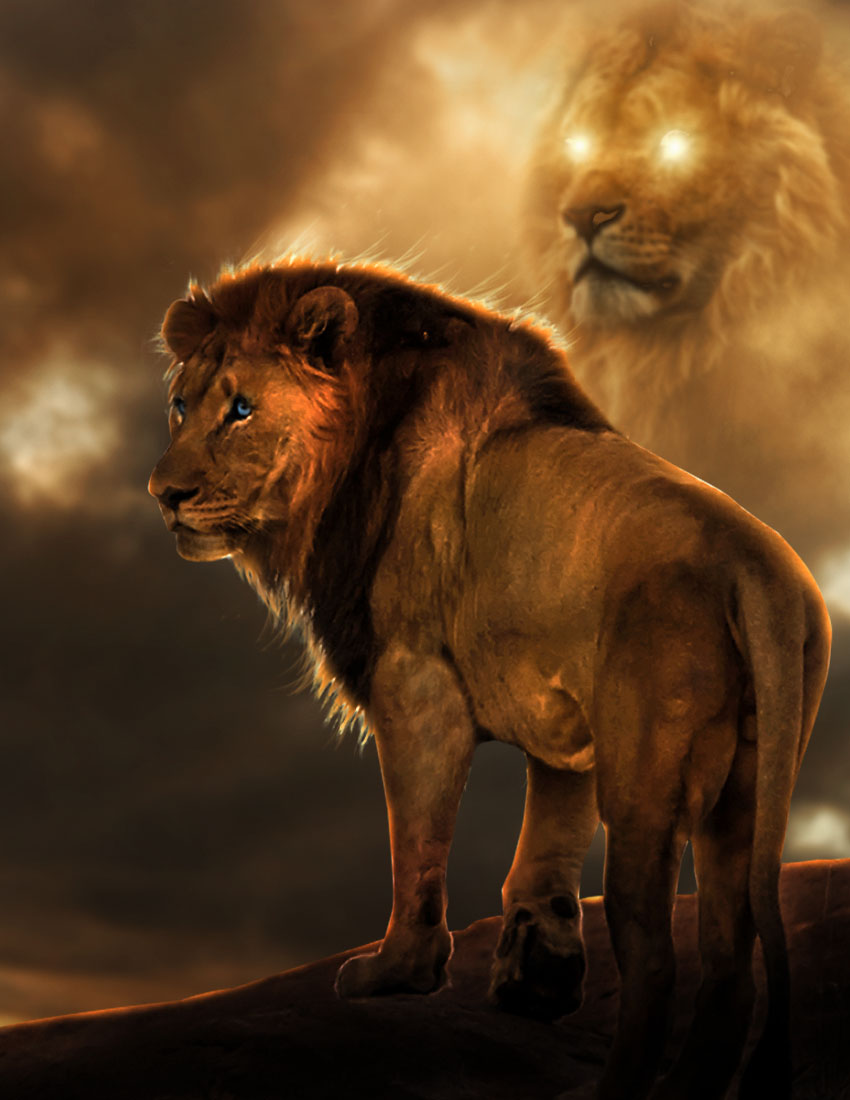 The-Lion-King by ricktimusprime0825 on DeviantArt