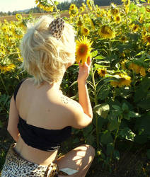 Stopping to smell the sunflowers