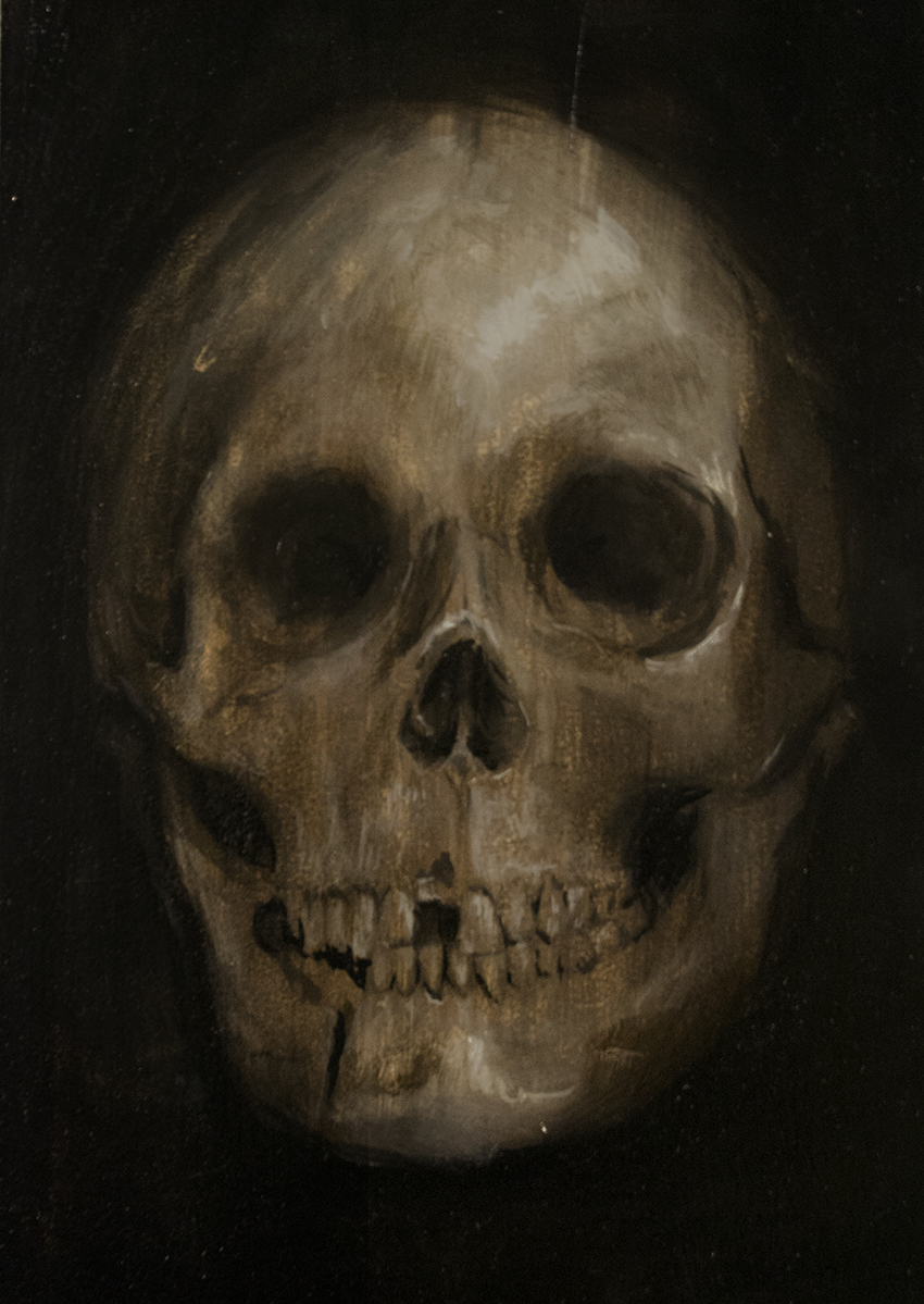 Skull - Still Life