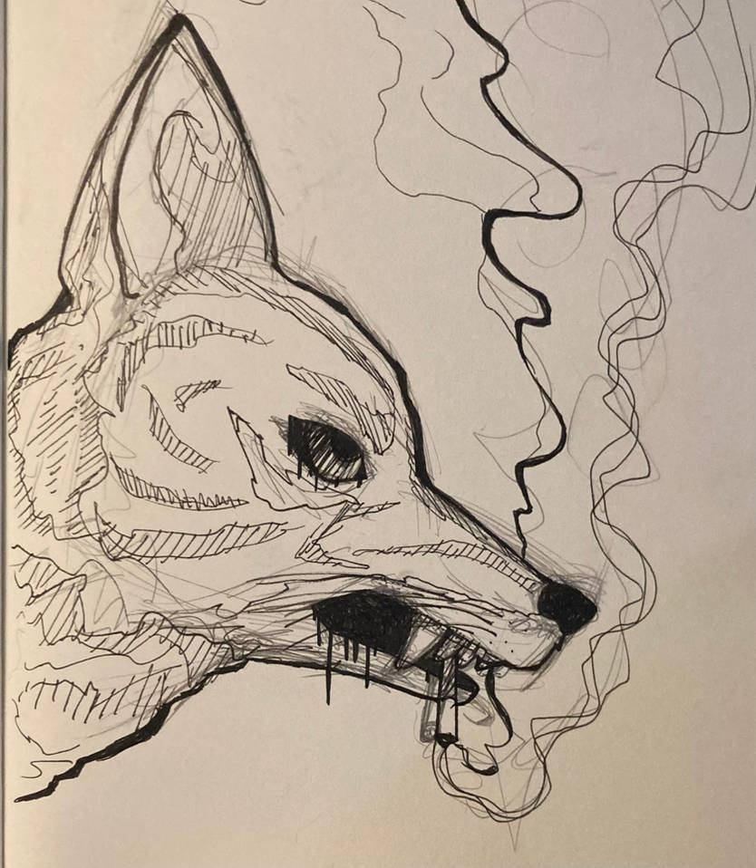 Coyote Chewing on a Cigarette by JustSomePenguin on DeviantArt