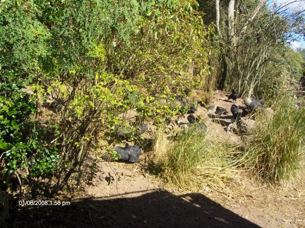 Hiding by RaptorMoonX on DeviantArt