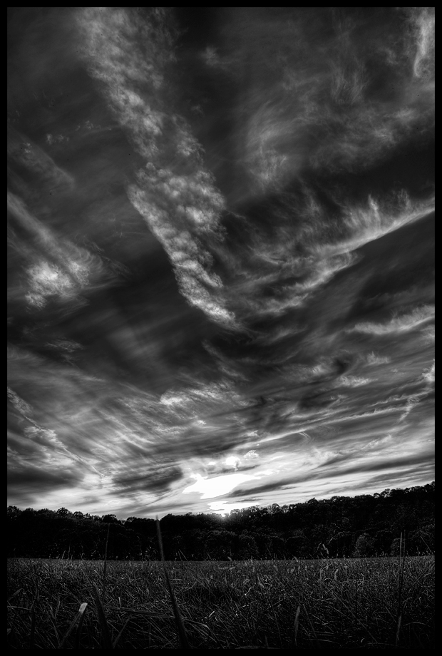 autmun_sunset_bw