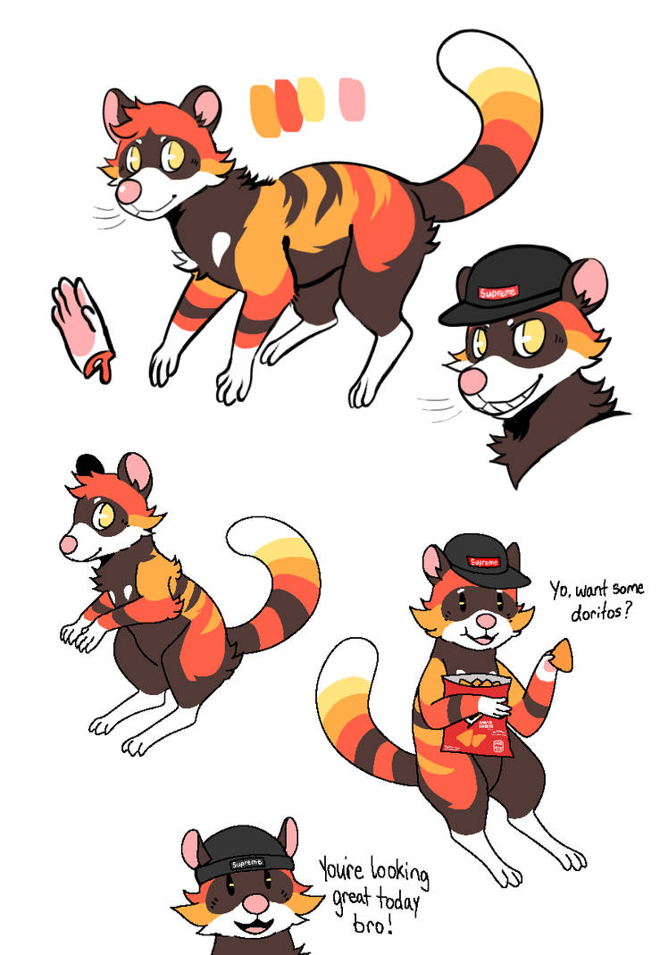 Duped Raccoon A dudebro raccoon | Adoptable (Closed) by Solminol on DeviantArt