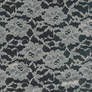 Lace White on Black