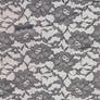 Lace Black on White